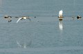 21.10.2012 Saline di Priolo (182)